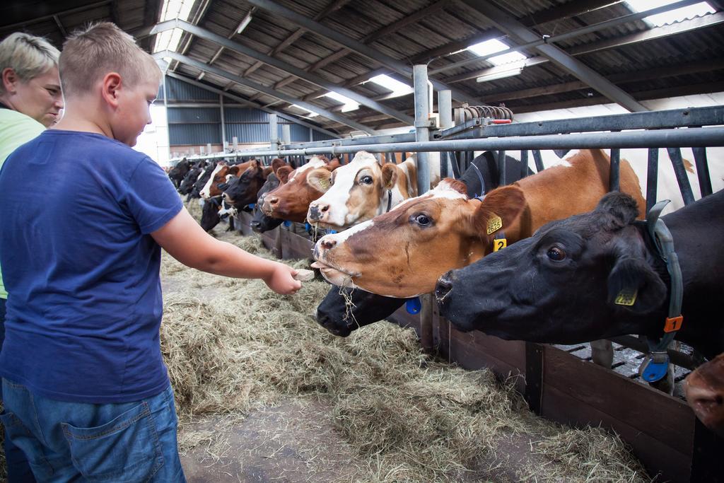 Farm Overleekerhoeve Моникендам Екстериор снимка