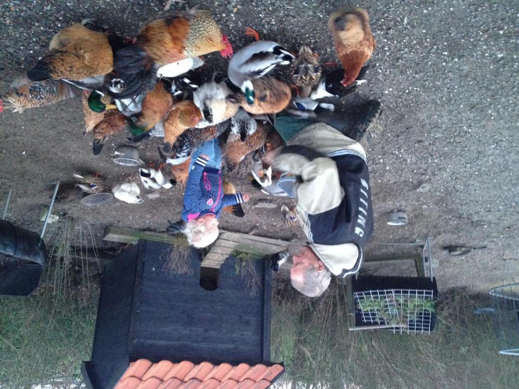 Farm Overleekerhoeve Моникендам Екстериор снимка